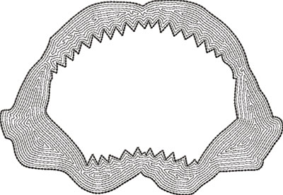shark jaw embroidery design