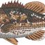 bass fish embroidery design