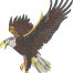 flying eagle embroidery design