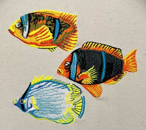 little tropical fish embroidery design