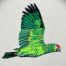 red crown parrot embroidery design