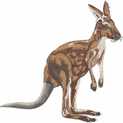 kangaroo embroidery design