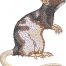 pet rat embroidery design