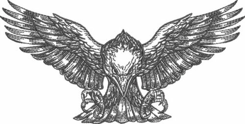 graphic eagle landing embroidery design
