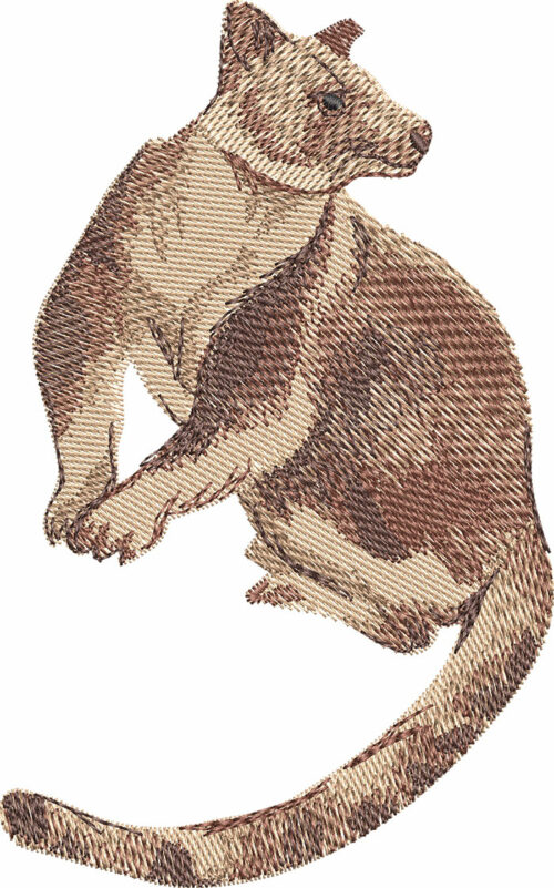 tree kangaroo embroidery design