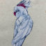 cockatoo embroidery design