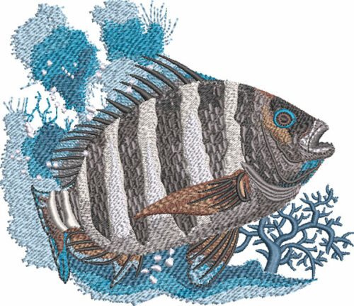 sheepshead fish embroidery design
