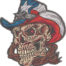 western texas skull embroidery design