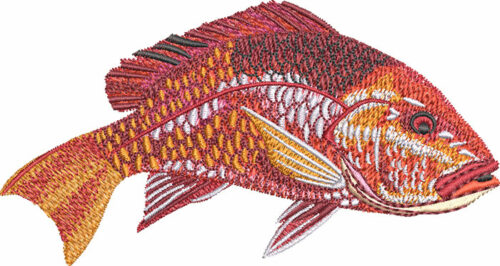 red snapper embroidery design