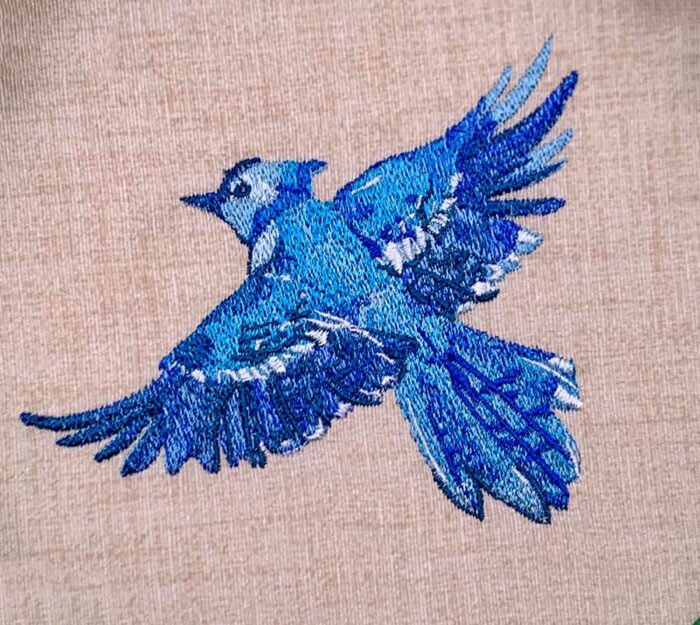 blue jay embroidery design