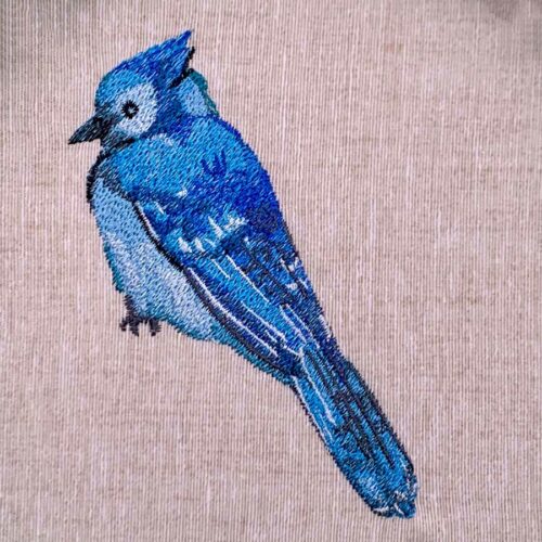 blue jay sitting embroidery design