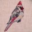 cardinal embroidery design