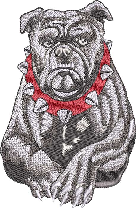 Bull Dog Embroidery Design