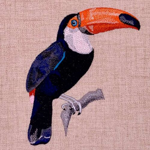 toucan embroidery design