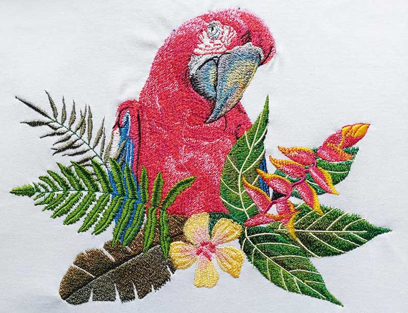 rainforest parrot with flowers