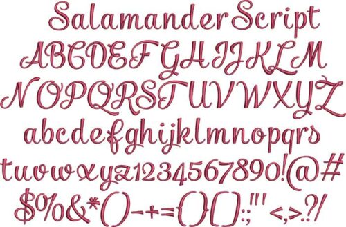Salamander Script Bx Embroidery Font