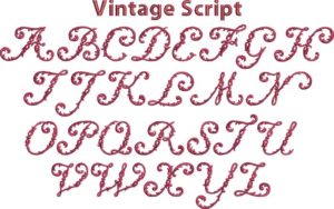 Vintage Script Bx Embroidery Font