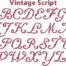 Vintage Script Bx Embroidery Font
