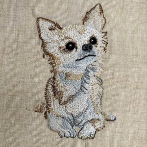 Chihuahua dog embroidery design