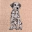 Dalmatian puppy embroidery design