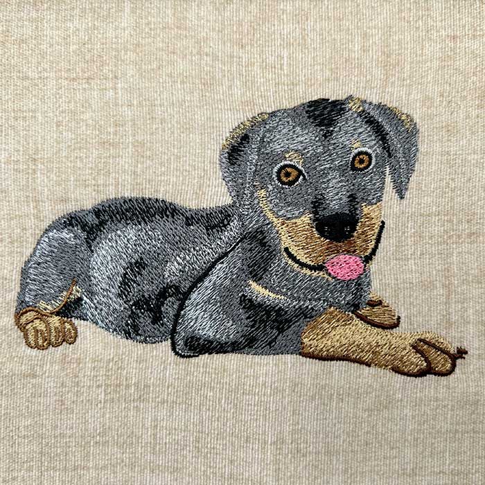 Doberman puppy embroidery design