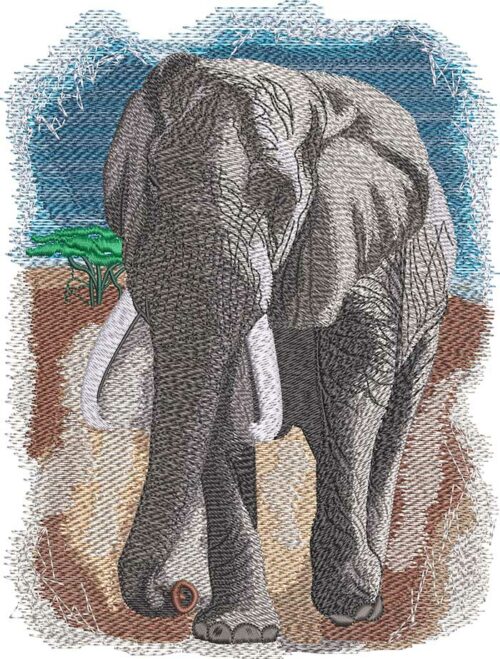 Safari Elephant embroidery design