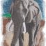 Safari Elephant embroidery design