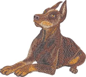 Doberman Dog Embroidery Design