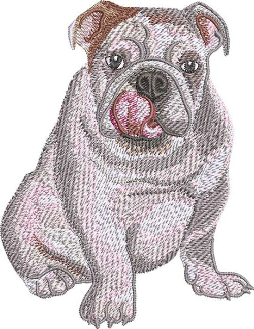 English Bulldog Embroidery Design