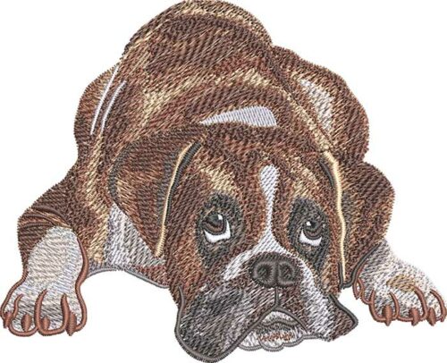German boxer dog embroidery design
