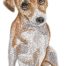 Jack Russel Terrier embroidery design