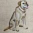 Labrador Retriever embroidery design