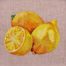 Lemons embroidery design