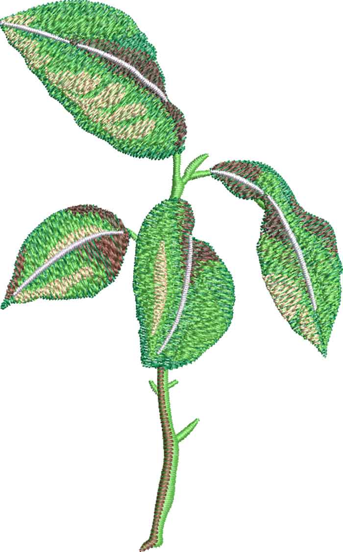 Lemon leaves embroidery design