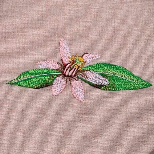 Lemon blossom embroidery design