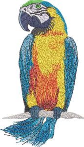 Parrot in clouds embroidery design