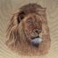 Majestic Lion Head Embroidery Design