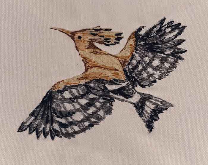 Bird of Paradise 26 embroidery design