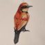 Bird of Paradise 30 embroidery design