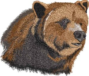 Majestic Grizzly Embroidery Design