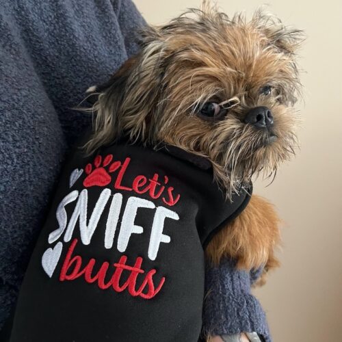 Lets sniff butts sweater
