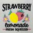 strawberry lemonade embroidery design