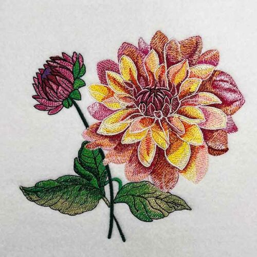 Dahlia Embroidery Legacy Design 1