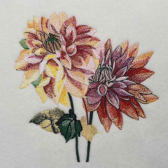 Dahlia Embroidery Legacy Design 2
