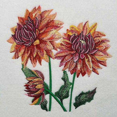 Dahlia Embroidery Legacy Design 3