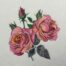 Pink rose 2 embroidery design