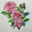 Pink rose 4 embroidery design