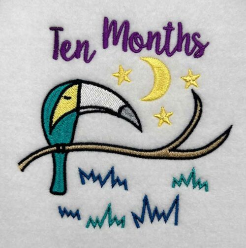 milestones 10 months embroidery designs
