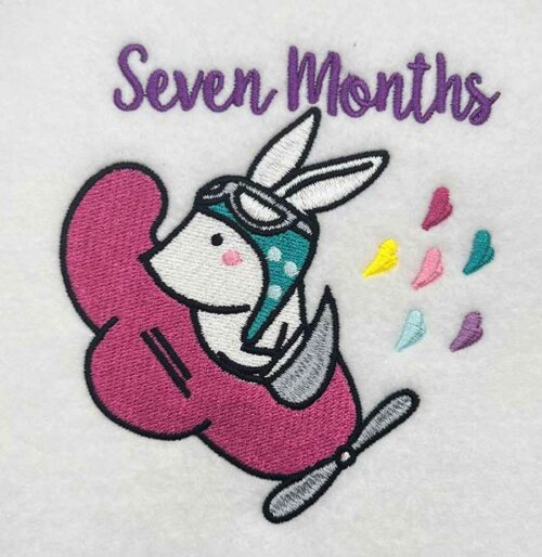 milestones 7 months embroidery design