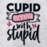 cupid rhymes with stupid embroidery design